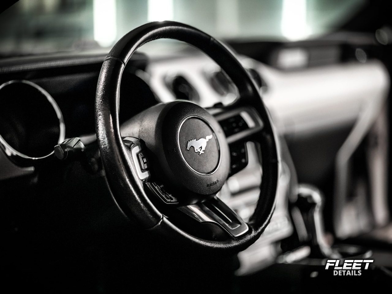 Fleet Details auto detailing treatments for Rockford drivers