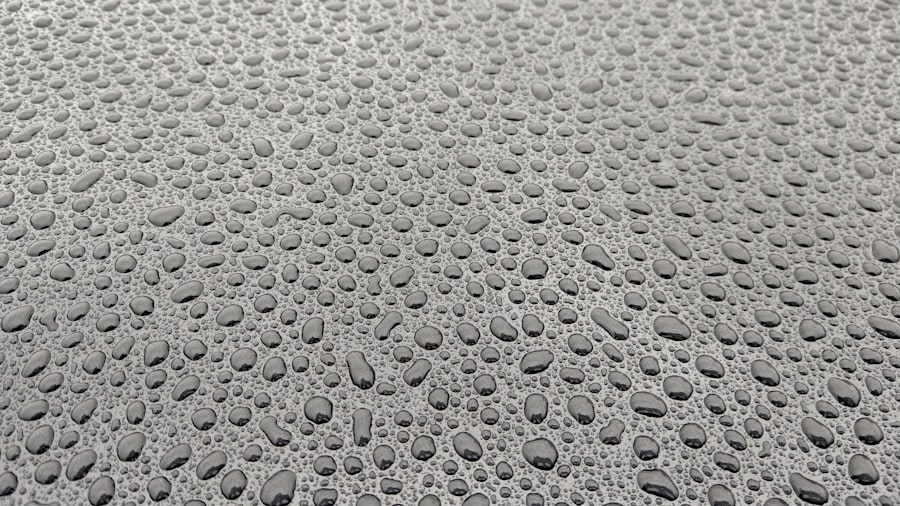 Professional Achieving a Showroom Shine with Car Wax finish from Fleet Details