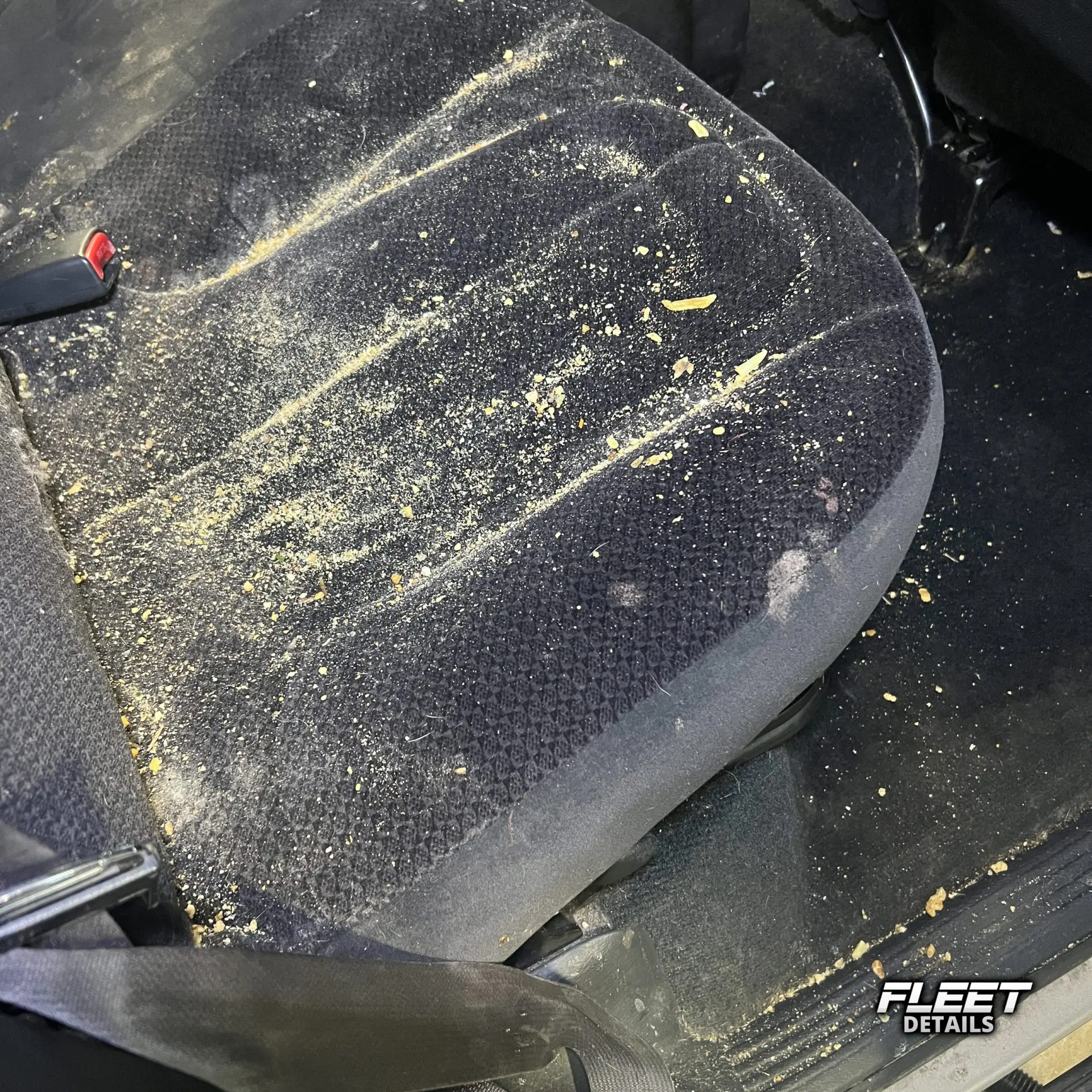 Inside of a vehicle's interior showing the dashboard and seats and carpet cleaned from an interior mobile detail